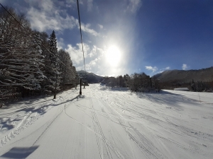 よく締まった雪質で滑りやすくなっています