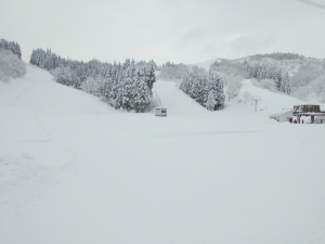 新雪ですヾ(≧▽≦)ﾉ